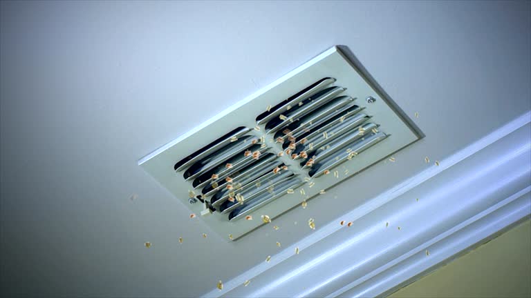Best HVAC Duct Inspection Services  in Lincoln, MO